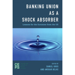 Banking Union as a Shock Absorber: Lessons for the Eurozone from the US