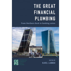 The Great Financial Plumbing: From Northern Rock to Banking Union