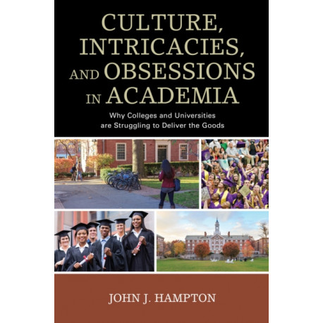 Culture, Intricacies, and Obsessions in Academia: Why Colleges and Universities are Struggling to Deliver the Goods
