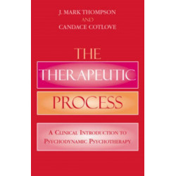 The Therapeutic Process: A Clinical Introduction to Psychodynamic Psychotherapy