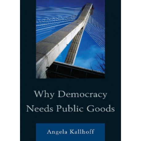 Why Democracy Needs Public Goods