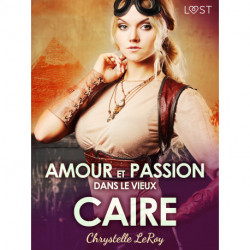 Amour et passion dans le vieux Caire - Une nouvelle érotique