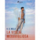 La visita meravigliosa