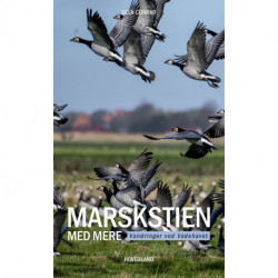 Marskstien: vandringer i Vadehavet