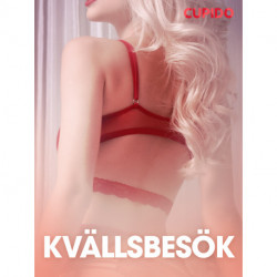 Kvällsbesök - erotiska noveller