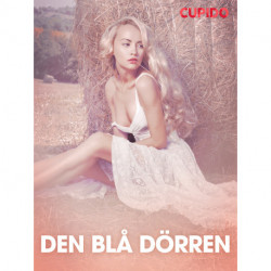 Den blå dörren - erotiska noveller