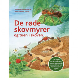 De røde skovmyrer og tuen i skoven
