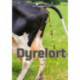 Dyrelort