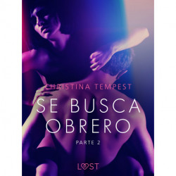 Se busca obrero - parte 2