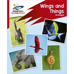 Reading Planet: Rocket Phonics – Target Practice – Wings and Things – Red B