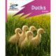 Reading Planet: Rocket Phonics – Target Practice – Ducks – Pink B