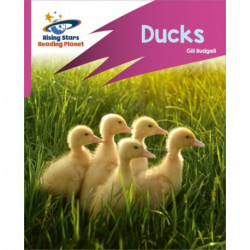 Reading Planet: Rocket Phonics – Target Practice – Ducks – Pink B