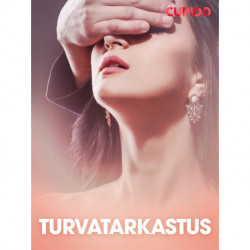 Turvatarkastus