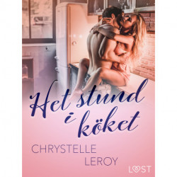 Het stund i köket - erotisk novell