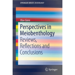 Perspectives in Meiobenthology: Reviews, Reflections and Conclusions