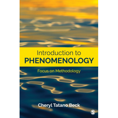 Introduction to Phenomenology: Focus on Methodology