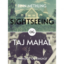 Sightseeing og Taj Majhal
