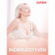 Indbrudstyven - erotiske noveller