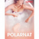 Polarnat - erotiske noveller
