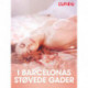 I Barcelonas støvede gader - erotisk novelle