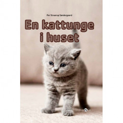 En kattunge i huset (norsk)