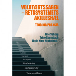 Voldtægtssagen - retssystemets akilleshæl: Teori og praksis