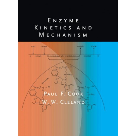 Enzyme Kinetics and Mechanism