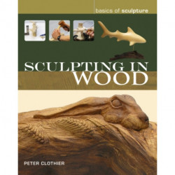 Sculpting in Wood