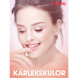 Kärlekskulor - erotiska noveller