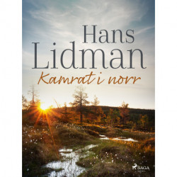 Kamrat i norr
