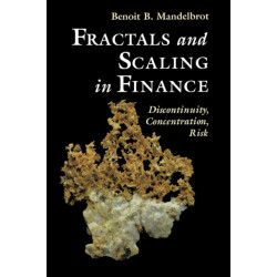 Fractals and Scaling in Finance: Discontinuity, Concentration, Risk. Selecta Volume E