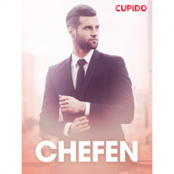 Chefen - erotiska noveller