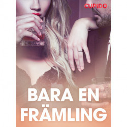 Bara en främling - erotiska noveller