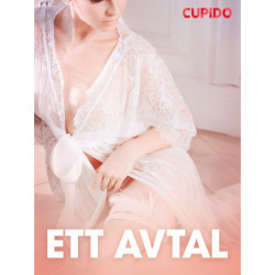 Ett avtal - erotiska noveller