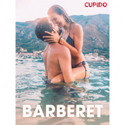 Barberet - erotisk novelle