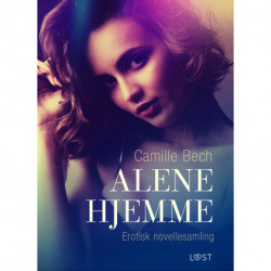 Alene hjemme – erotisk novellesamling