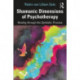 Shamanic Dimensions of Psychotherapy: Healing through the Symbolic Process