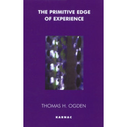 The Primitive Edge of Experience
