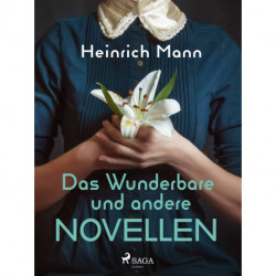 Das Wunderbare und andere Novellen