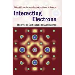 Interacting Electrons: Theory and Computational Approaches