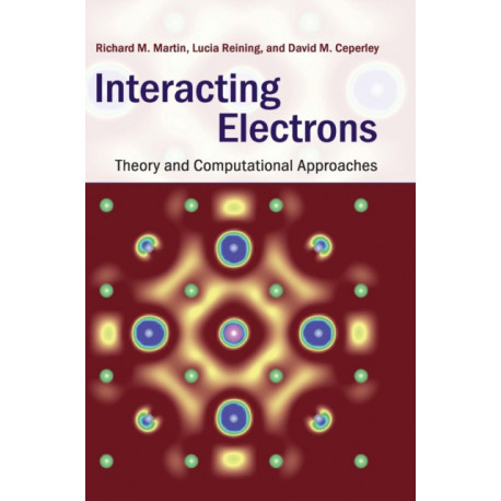 Interacting Electrons: Theory and Computational Approaches