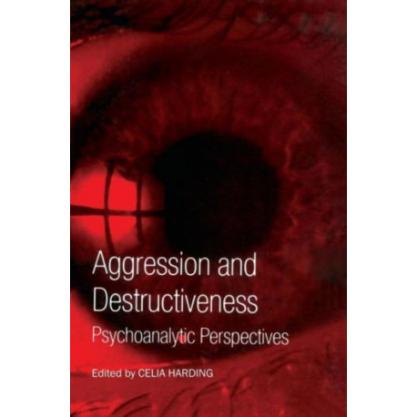 Aggression and Destructiveness: Psychoanalytic Perspectives