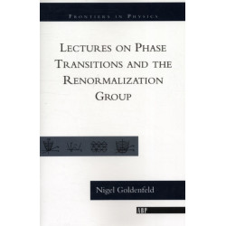 Lectures On Phase Transitions And The Renormalization Group