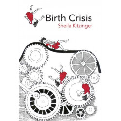 Birth Crisis