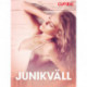Junikväll - erotiska noveller