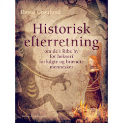 Historisk efterretning om de i Ribe by for hekseri forfulgte og brændte mennesker