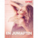 En juniaften - erotisk novelle