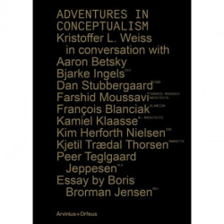 Adventures in conceptualism