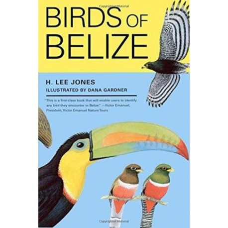 Birds of Belize
