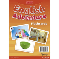 New English Adventure PL 3/GL 2 Flashcards